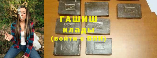 индика Алзамай