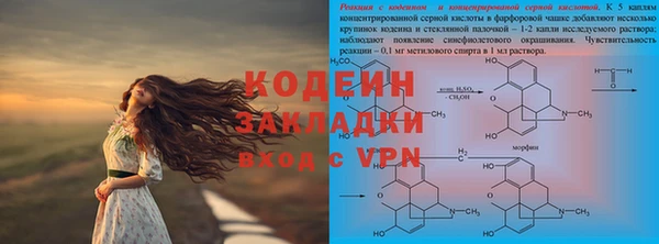 индика Алзамай