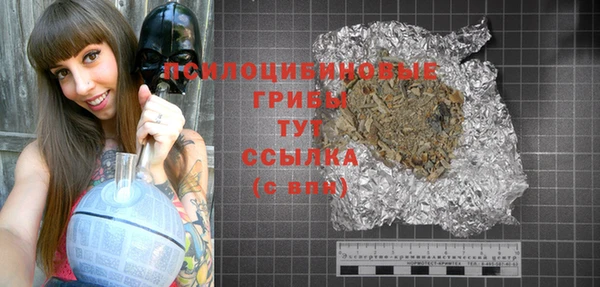 индика Алзамай