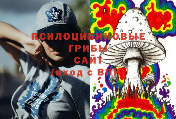 индика Алзамай