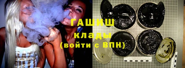 индика Алзамай
