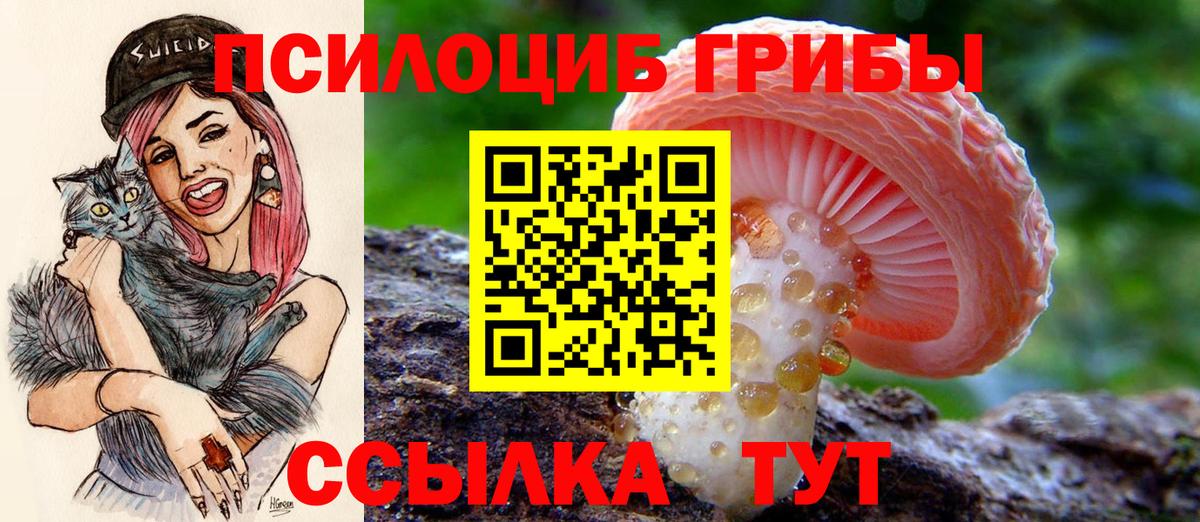 Псилоцибиновые грибы Cubensis  наркотики  Нижнеудинск  Галлюциногенные грибы мухоморы  Вход с VPN 